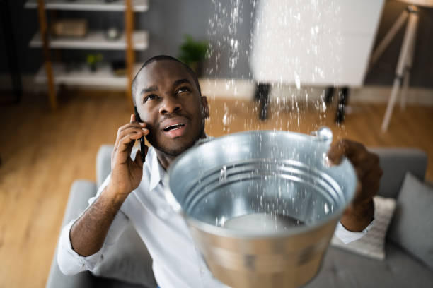 Best Water damage restoration experts  in Highpoint, OH