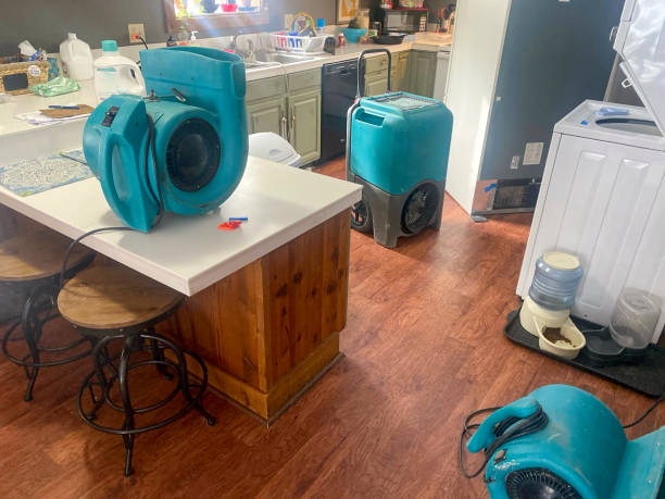 Best 24/7 water damage repair  in Highpoint, OH