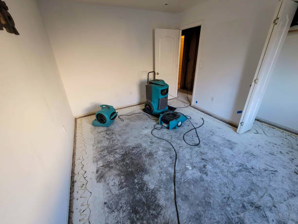 Best Sewage cleanup and water damage restoration  in Highpoint, OH