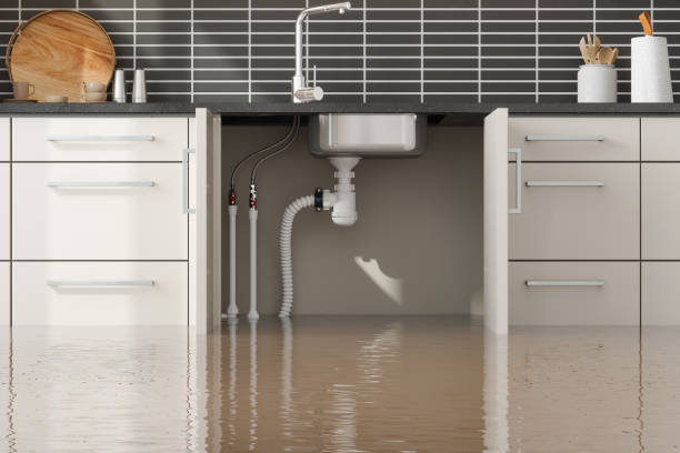 Best Flood damage cleanup  in Highpoint, OH