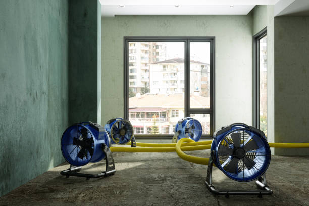 Best Ceiling water damage repair  in Highpoint, OH