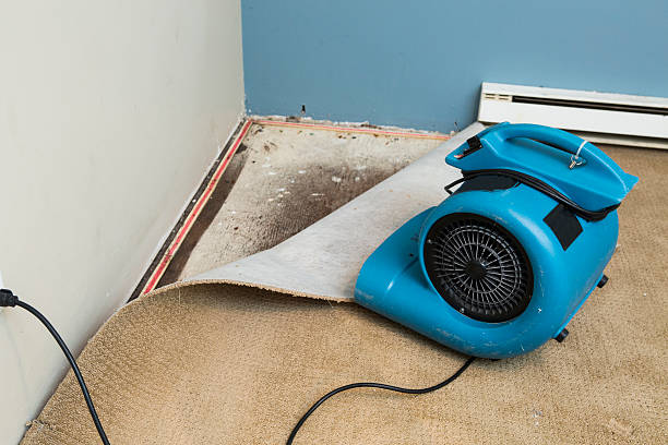 Best Carpet water damage restoration  in Highpoint, OH